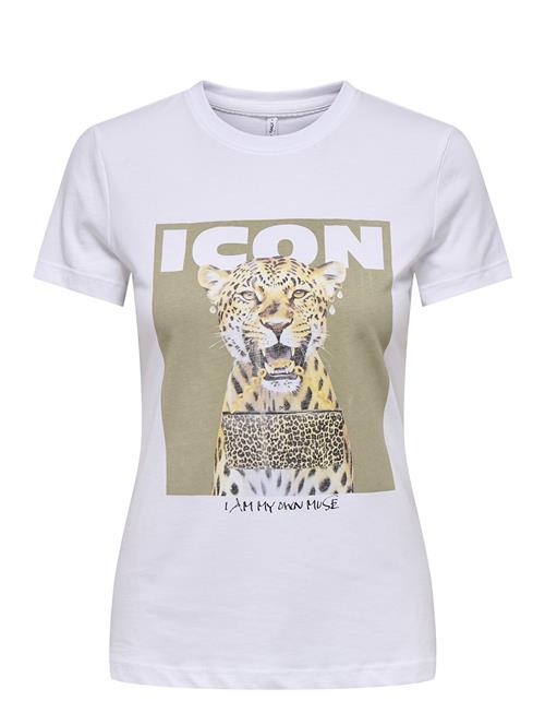 ONLY | Onlvibe Life S/S Glasses Top Box Jrs | S