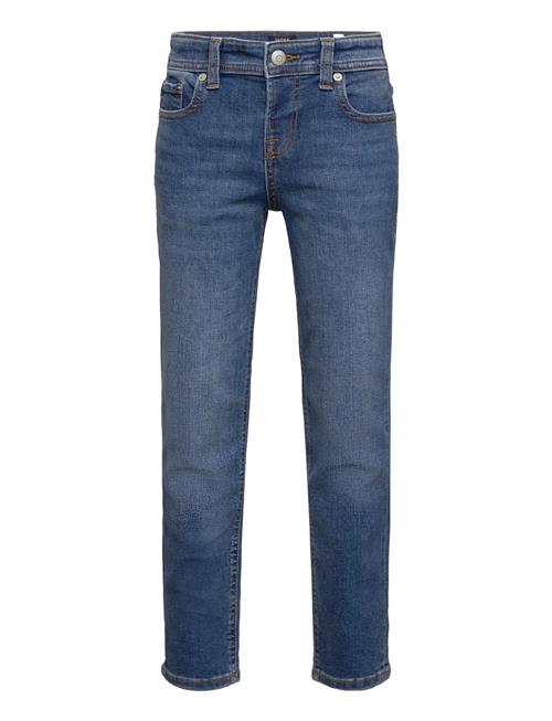 Jack & Jones | Jjiclark Jjoriginal Sq 223 Noos Mni | 104
