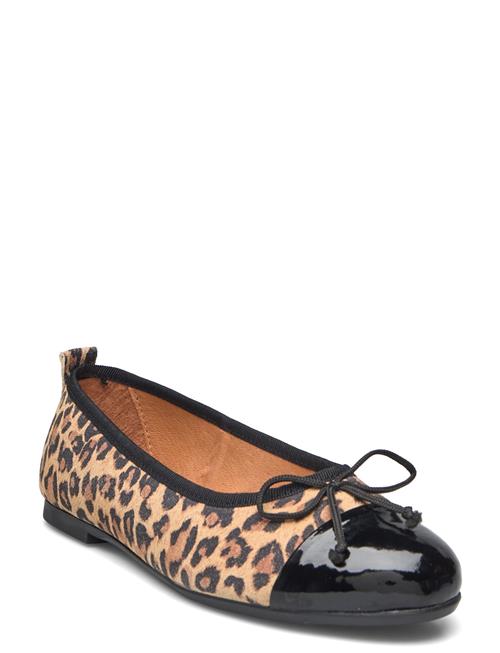 Pavement | Palucy | 36