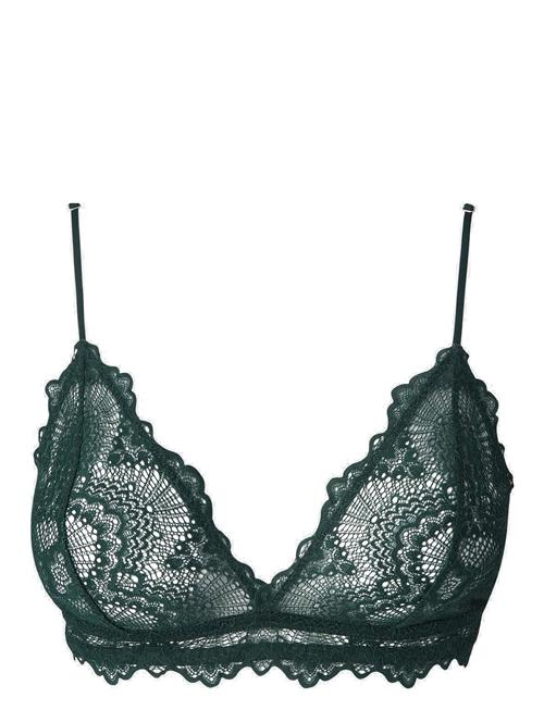 Understatement Underwear | Lace Triangle Bralette | XXL