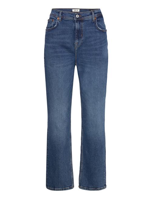 Solid | Sdisni Ryan | 34 x 30