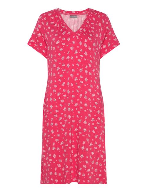 Fransa | Frsanie Dr 1 | XS