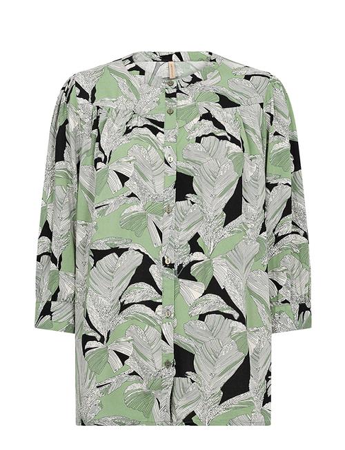 Soyaconcept | Sc-Dauphin | XS