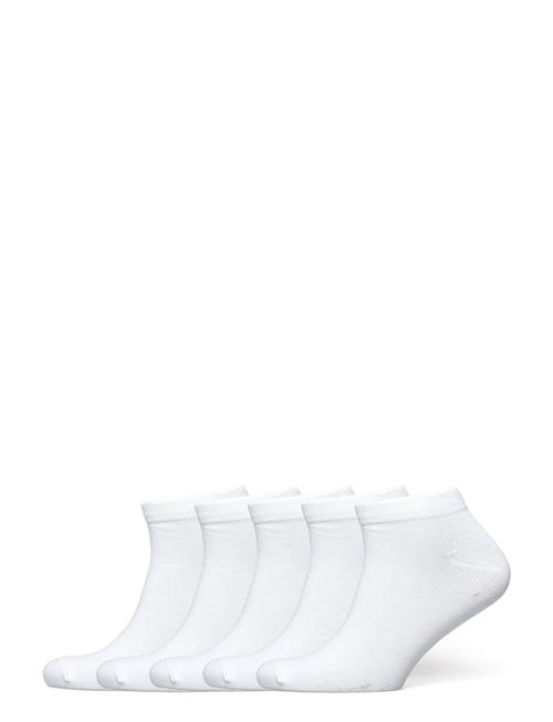 Boozt Merchandise | 5-Pack Footies | 43-46