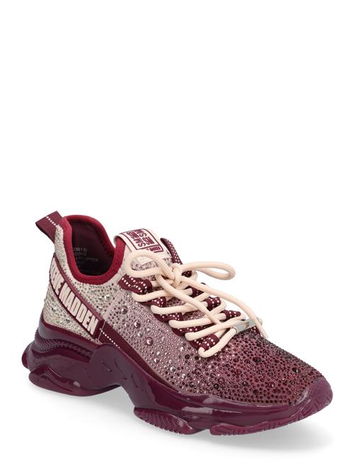 Steve Madden | Mistica Sneaker | 36