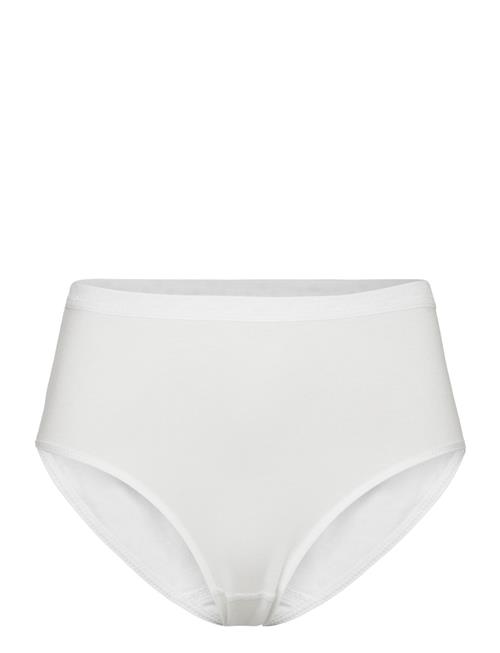 Damella of Sweden | Midi Brief | M