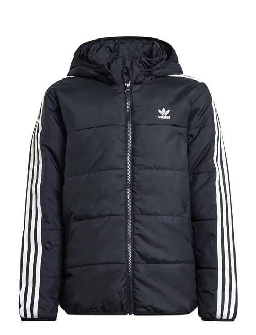 adidas Originals | Padded Jacket | 140