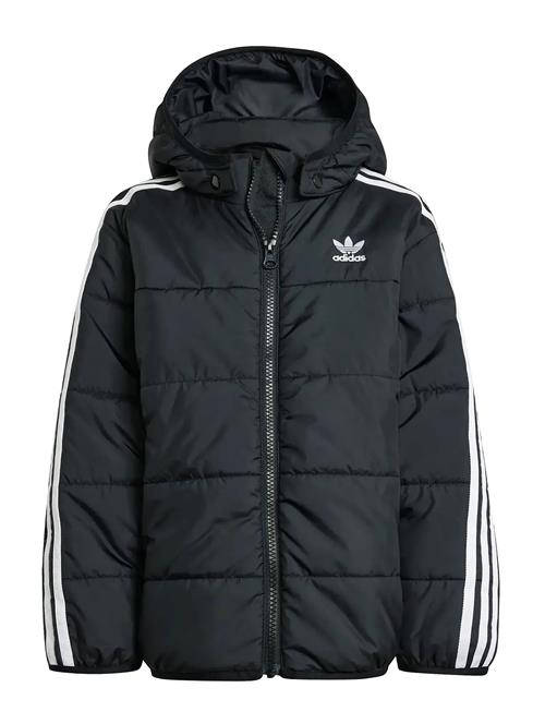 adidas Originals | Padded Jacket | 116