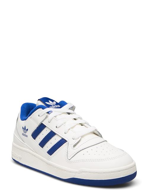 adidas Originals | Forum Low Cl C | 33