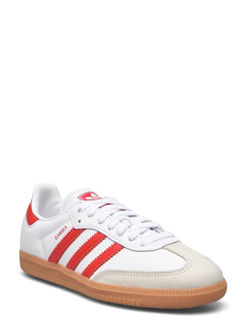adidas Originals | Samba Og W | 36 2/3