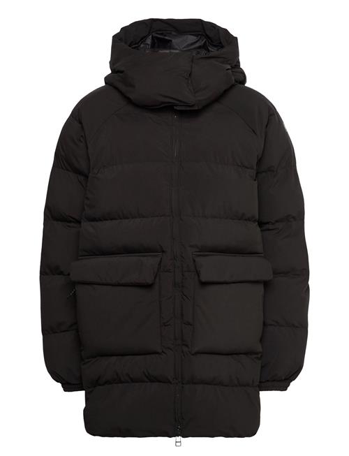 Helly Hansen | W Ellie Puffy Parka | L