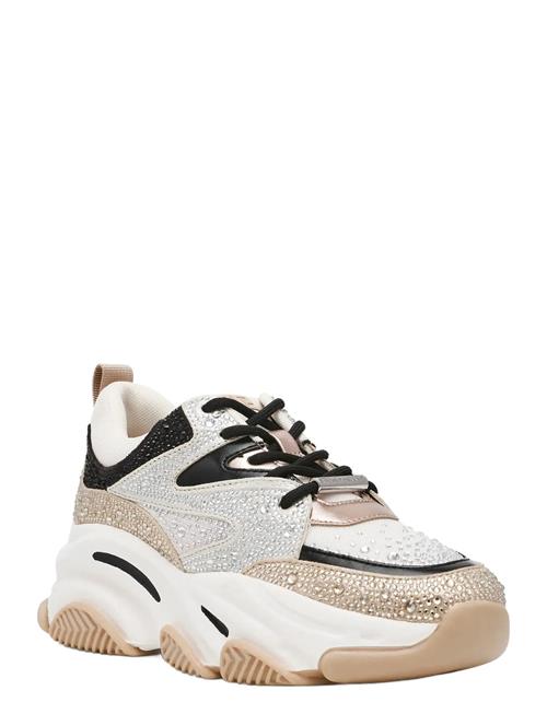 Steve Madden | Privy | 39