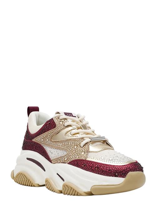 Steve Madden | Privy | 39