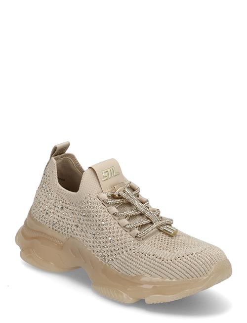 Steve Madden | Meter Sneaker | 37