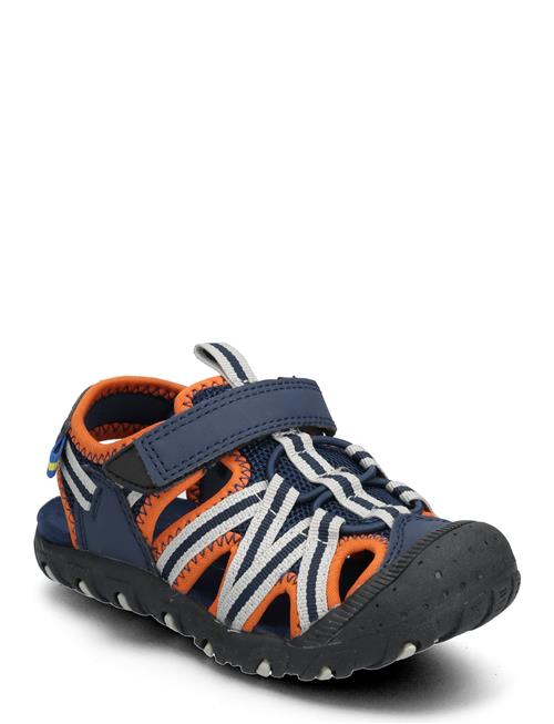 PAX | Cloudi Pax | 33/21CM