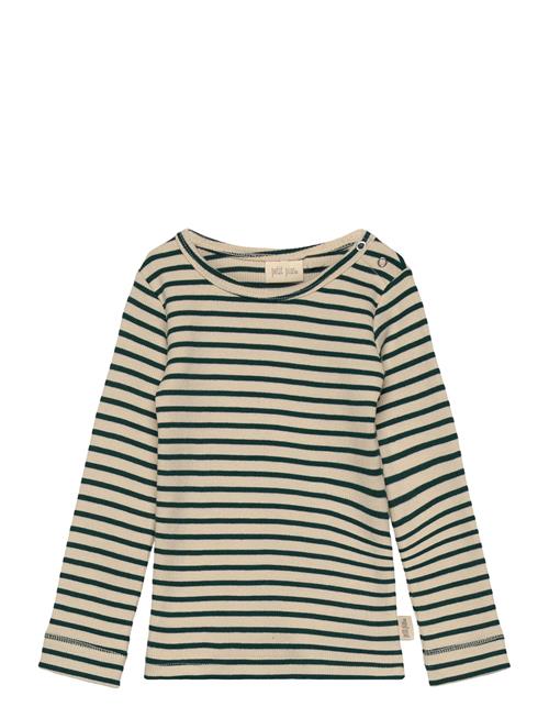 Petit Piao | T-Shirt L/S Modal Striped | 116