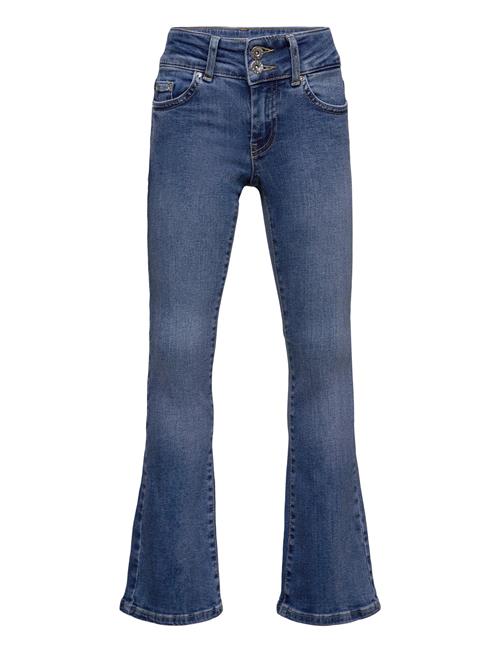 Grunt | Cancas Low Flare | 188