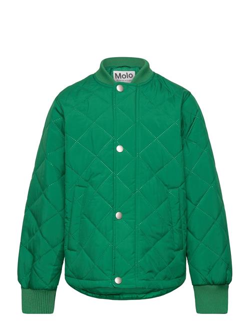 Molo | Hallow | 86-92