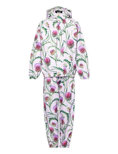 Molo | Whalley | 98-104