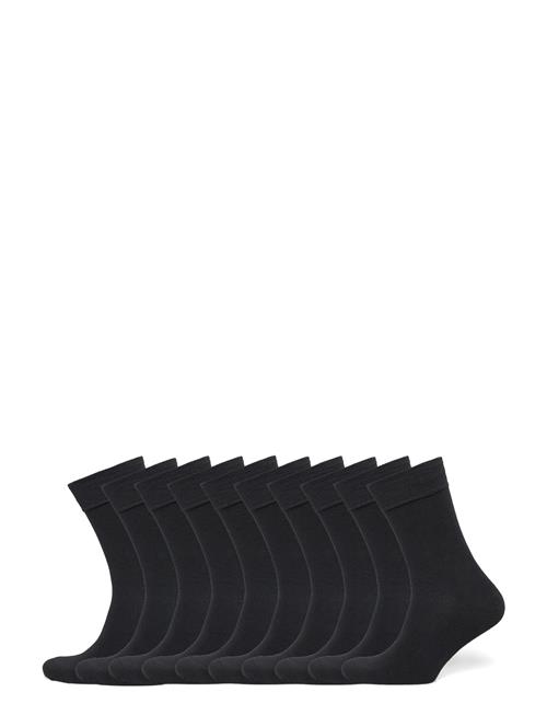 Frank Dandy | Bo.10P Crew Sock | 41-46