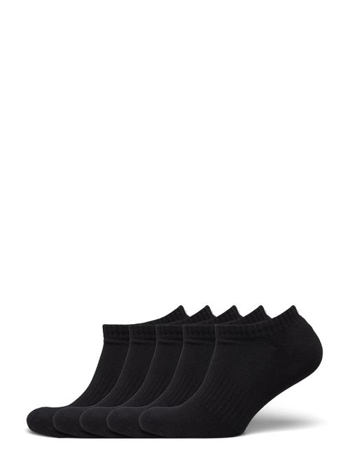 BACKTEE | Backtee Lowcut Sock (1X3 Pairs) | 36-39