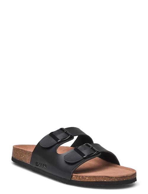 Exani | Spectra M | 45