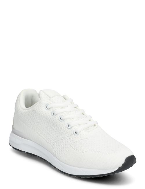 Exani | Luke Jr | 40