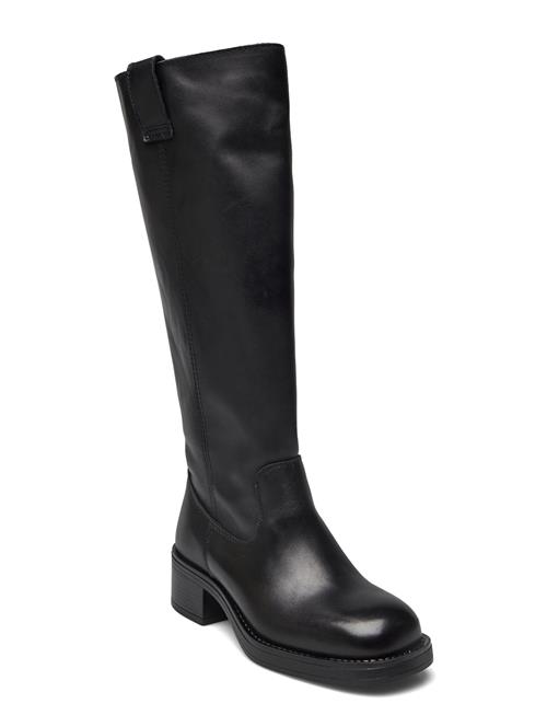 Pavement | Paannika | 37