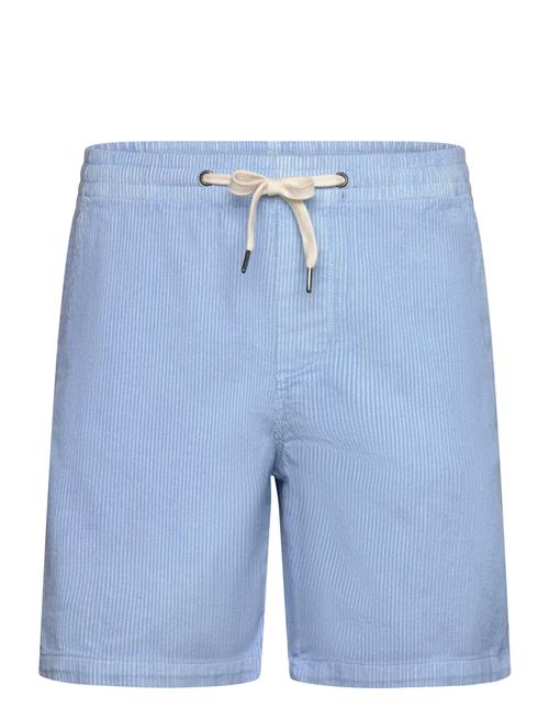 Lindbergh | Corduroy Shorts | L