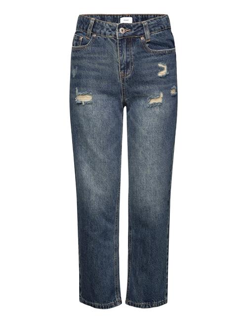 Grunt | Grhamon Ripped | 158