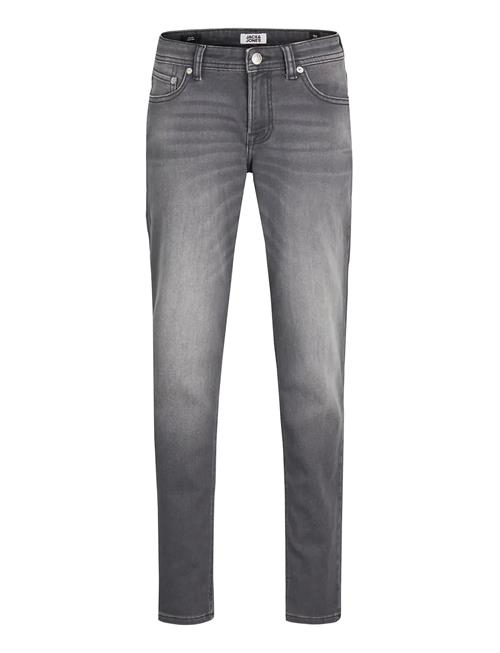 Se Jack & Jones | Jjiglenn Jjoriginal Sq 998 I.k Noos Jnr | 152 hos Booztlet