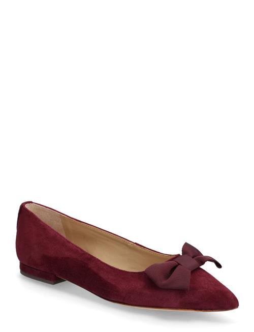 Lauren Ralph Lauren | Londyn Bow-Trim Suede Ballet Flat | 39