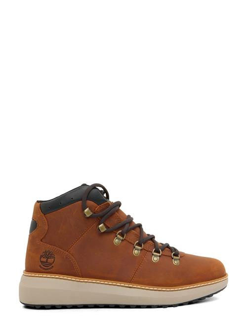 Timberland | Mid Lace Up Waterproof Chukka Boot | 42