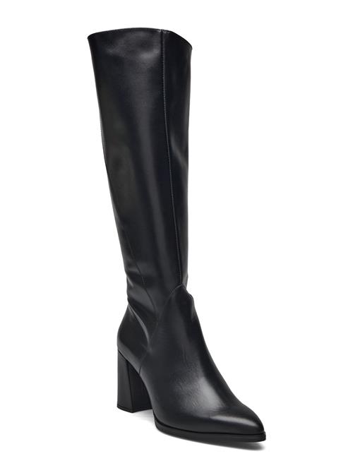 Wonders | Daily | 42