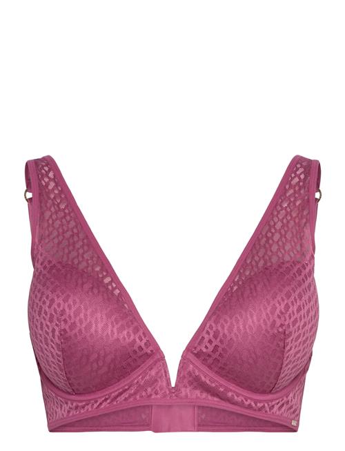 BOSS | Triangle  B Lace | C x 90