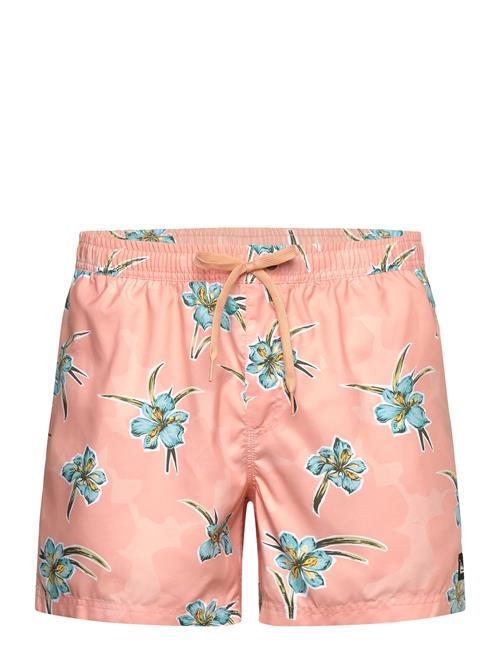 Quiksilver | Everyday Straight Volley 15 | L