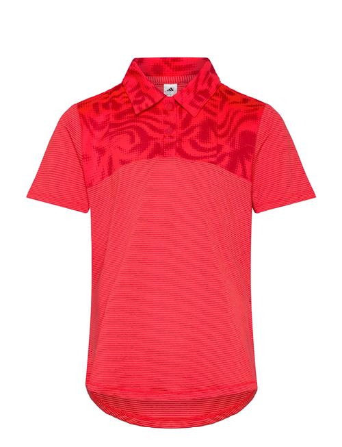 adidas Golf | G Club Polo | 164