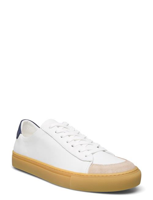 Sneaky Steve | Nagore U White | 43