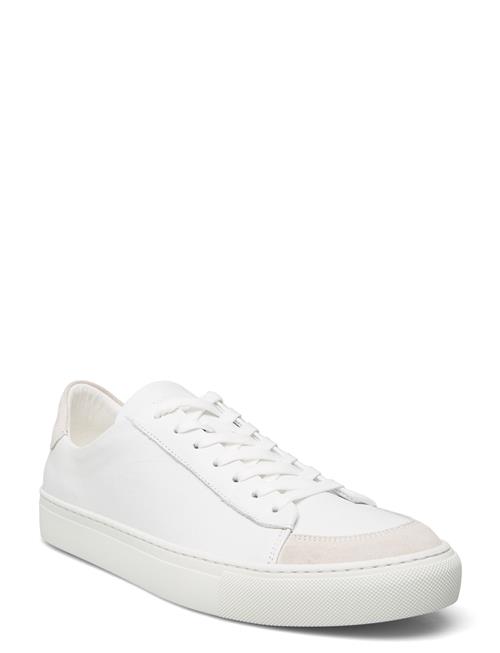 Sneaky Steve | Nagore U White | 42