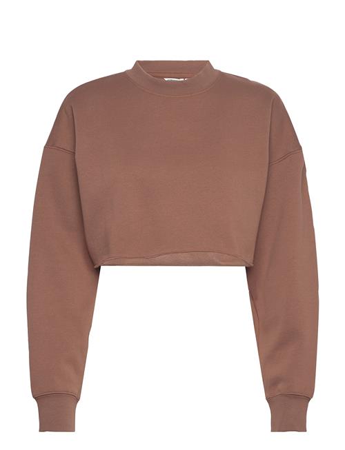 Björn Borg | Studio Oversized Cropped Sweatshirt | XL