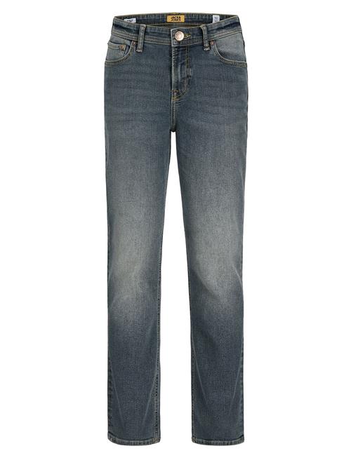 Jack & Jones | Jjiclark Jjoriginal Akm 049 Noos Jnr | 134