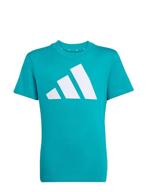 adidas Sportswear | J Bl Tee 160 | 164
