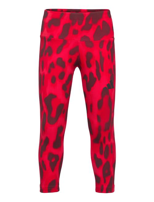 adidas Sportswear | Jg Fi Aop 7/8Le | 170