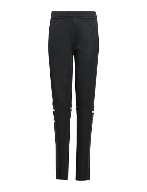 adidas Performance | Sq25 Tr Pnt Y | 176