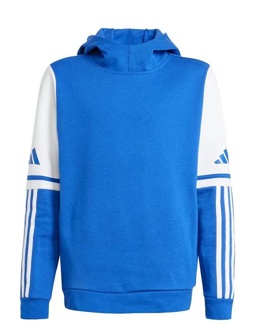 adidas Performance | Sq25 Sw Hood Y | 128