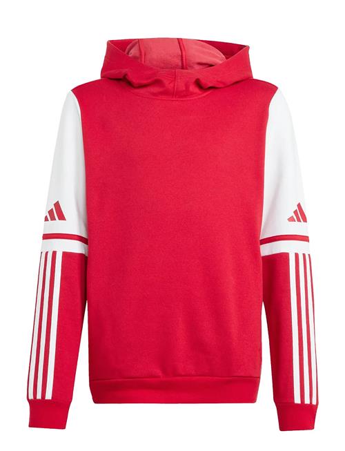 adidas Performance | Sq25 Sw Hood Y | 140