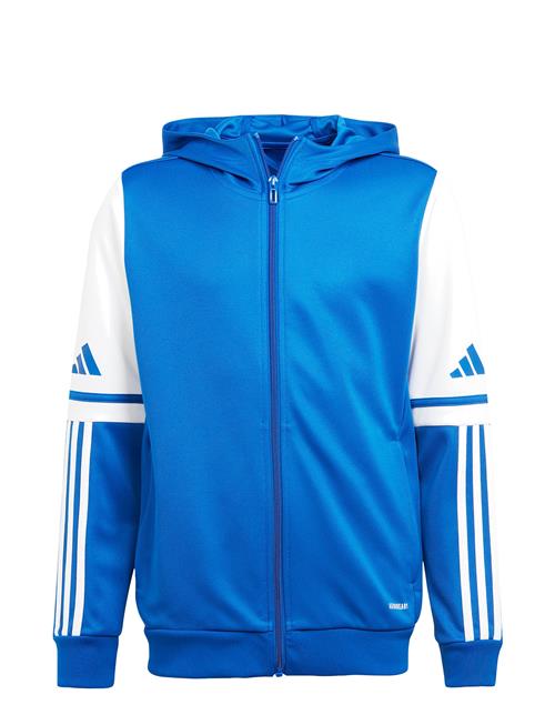 adidas Performance | Sq25 Hood Y | 164