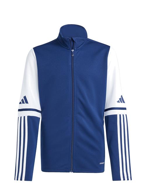 adidas Performance | Sq25 Tr Jkt Y | 140