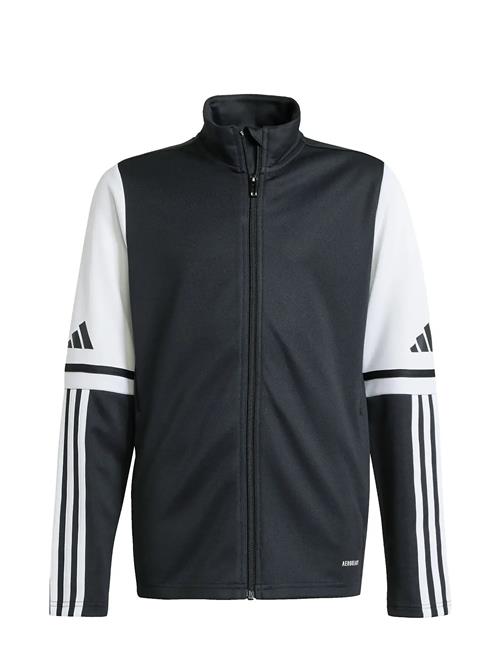 adidas Performance | Sq25 Tr Jkt Y | 152