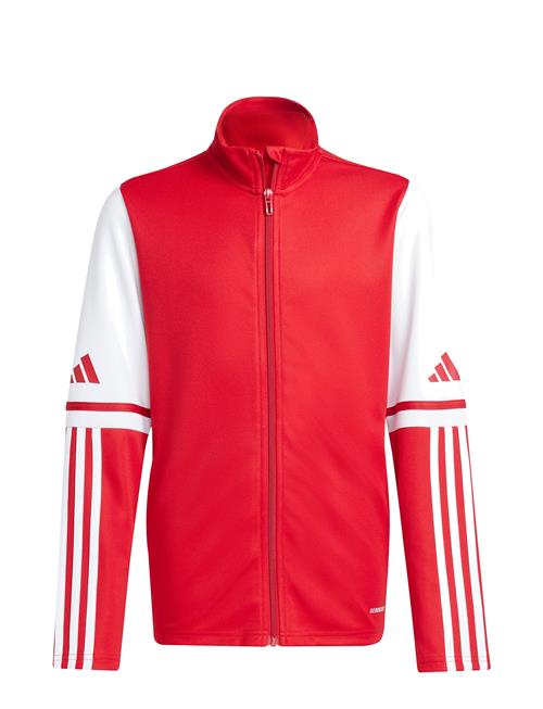 adidas Performance | Sq25 Tr Jkt Y | 164